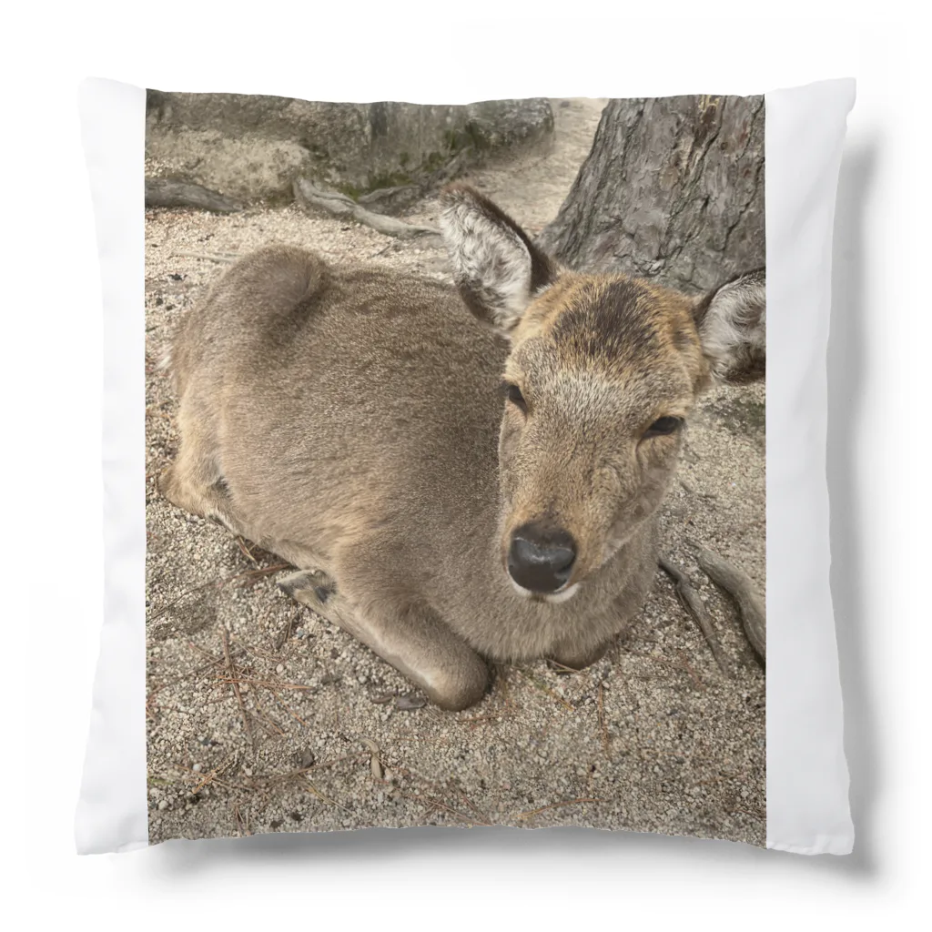 かき小屋 こいたろーの広島の鹿 Cushion