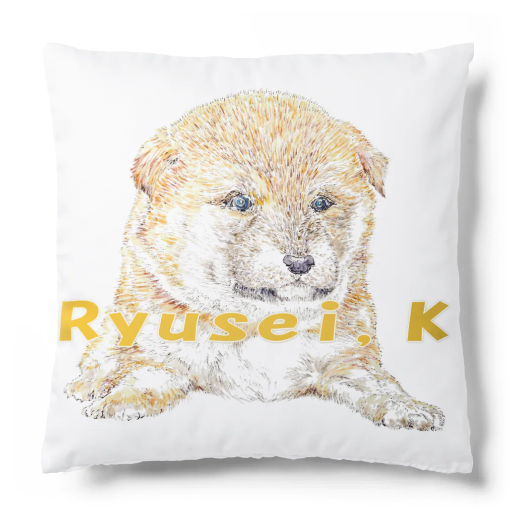 佳山隆生　アートギャラリーのRyusei,Kシリーズ【柴仔犬】 Cushion