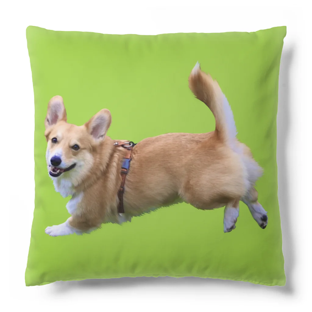 わんライフガーデンのランディとお出かけ🎵 Cushion