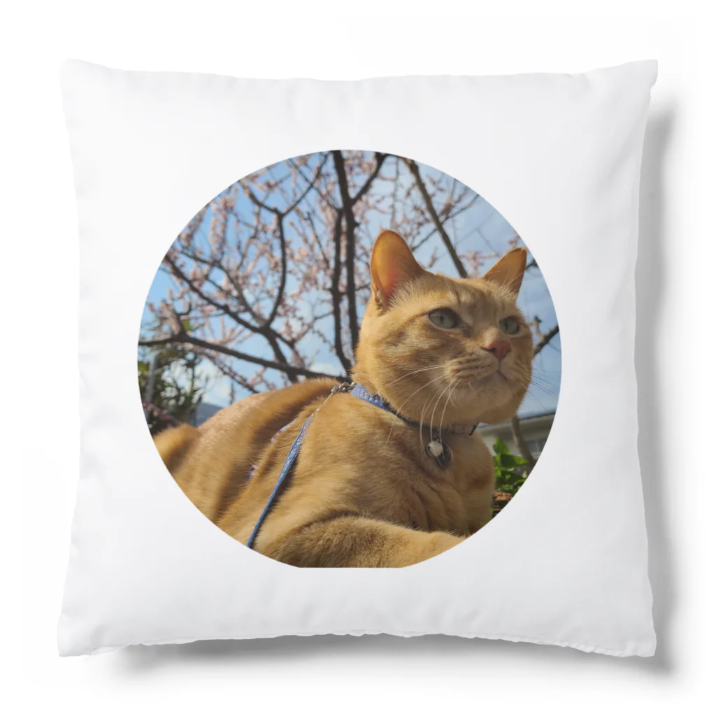 うちの末っ子画伯の猫ですかね Cushion