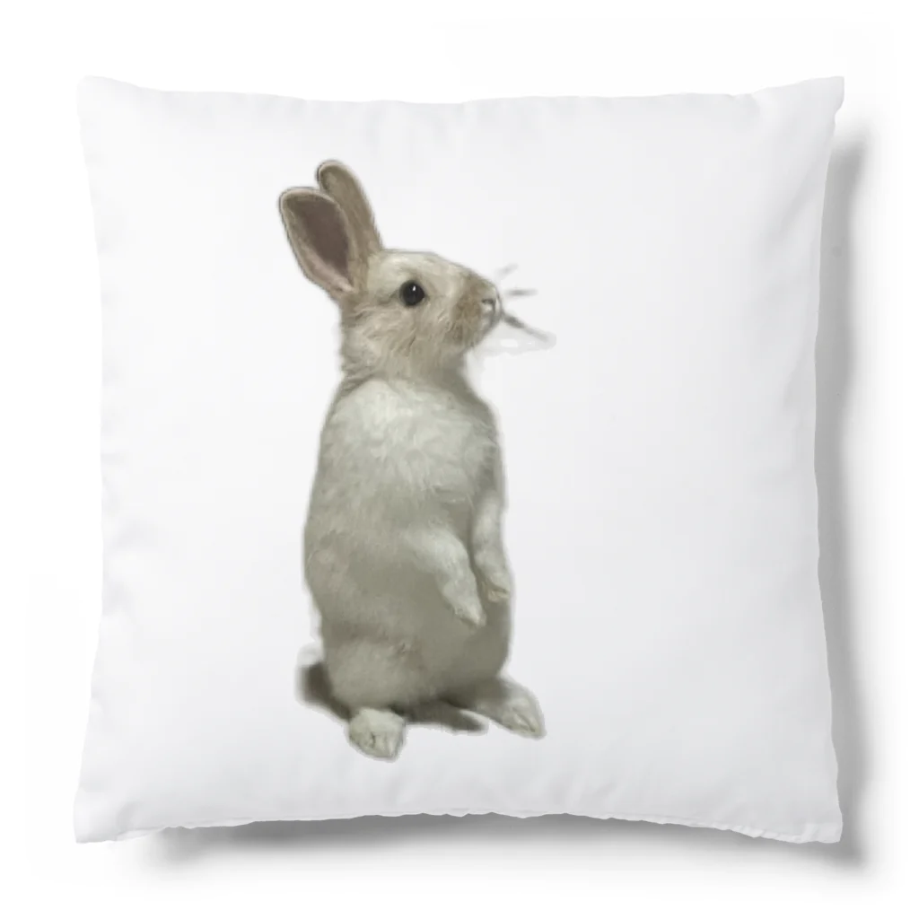 はるさんStoreのはるさん立ち姿 Cushion