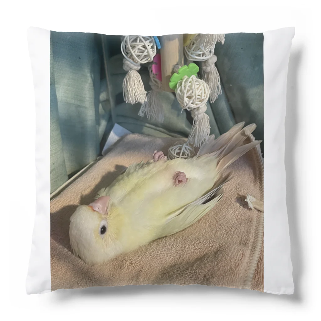 びすこ&みろのウロコインコのみーやん Cushion