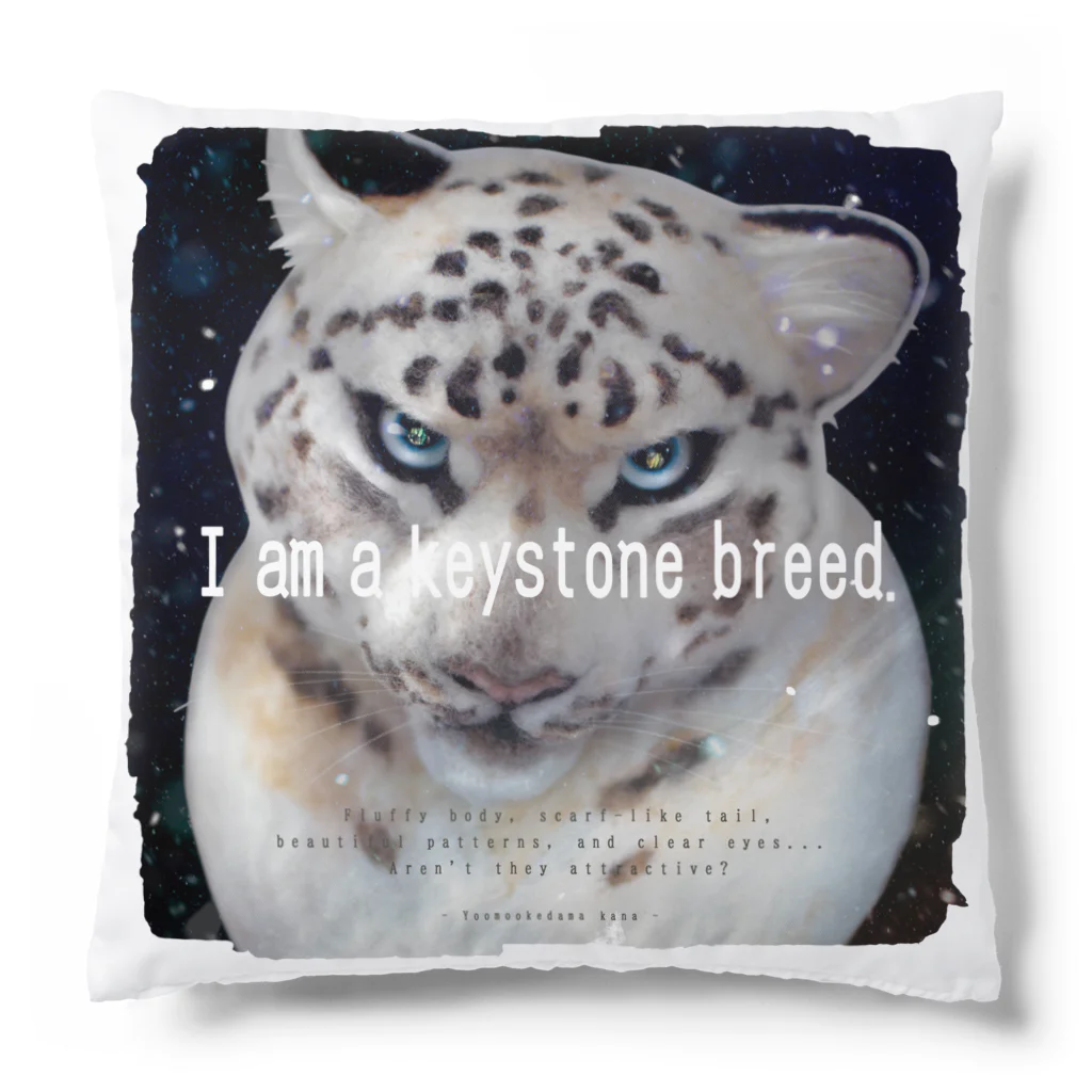 羊毛けだまkanaのI am a keystone breed. Cushion