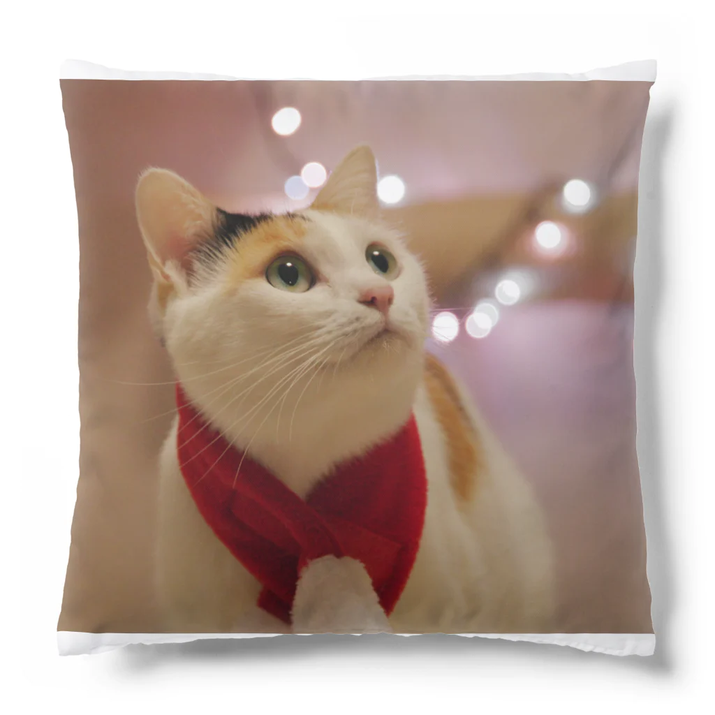 わたなべ家の夢見るクリスマスねこ Cushion