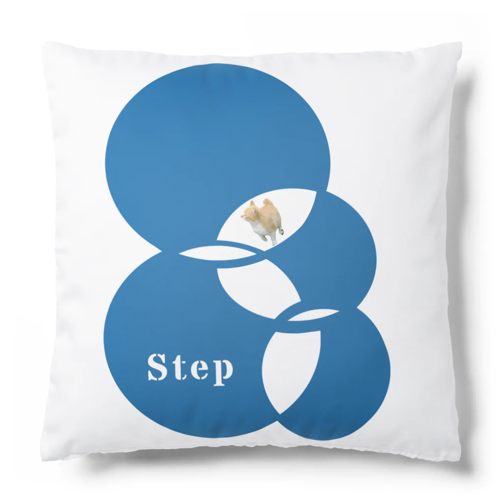 aiueoneko358のStep Cushion