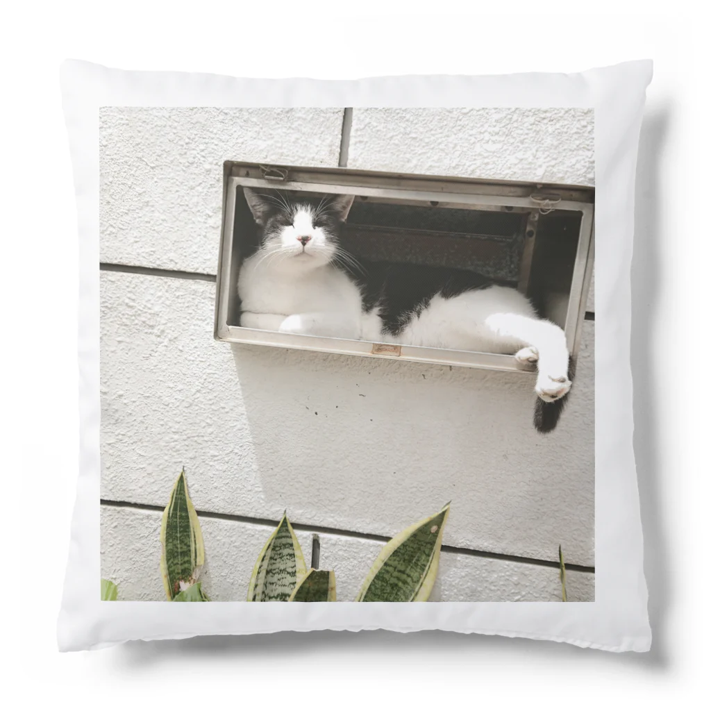 天光のねこ部屋のプリンちゃんの休日 Cushion