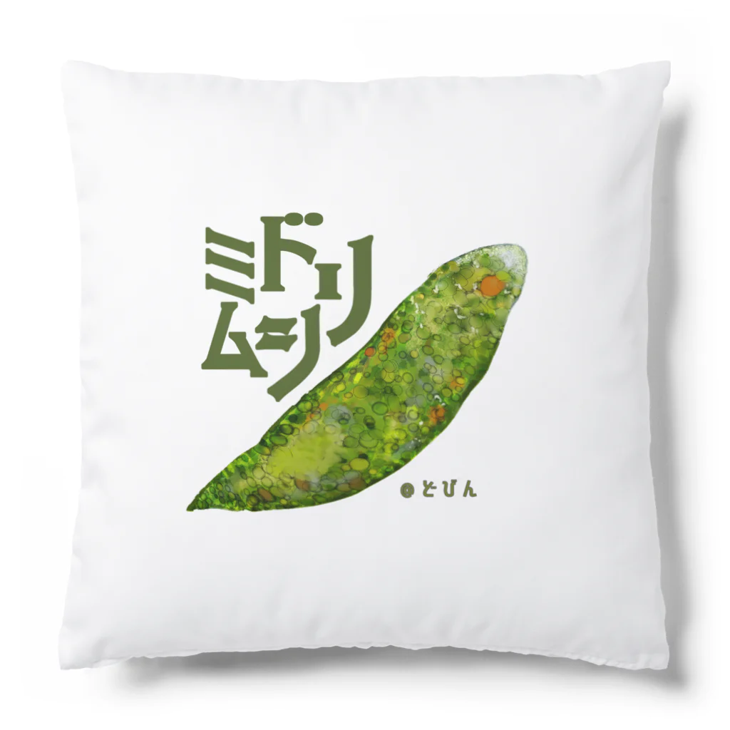 どびんの『菌玉』シリーズ第３弾　ミドリムシ Cushion