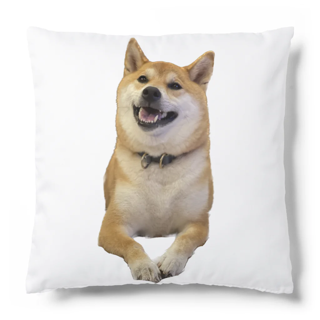 SHIBAOOOOOの柴犬のしばおくん　おすまし クッション