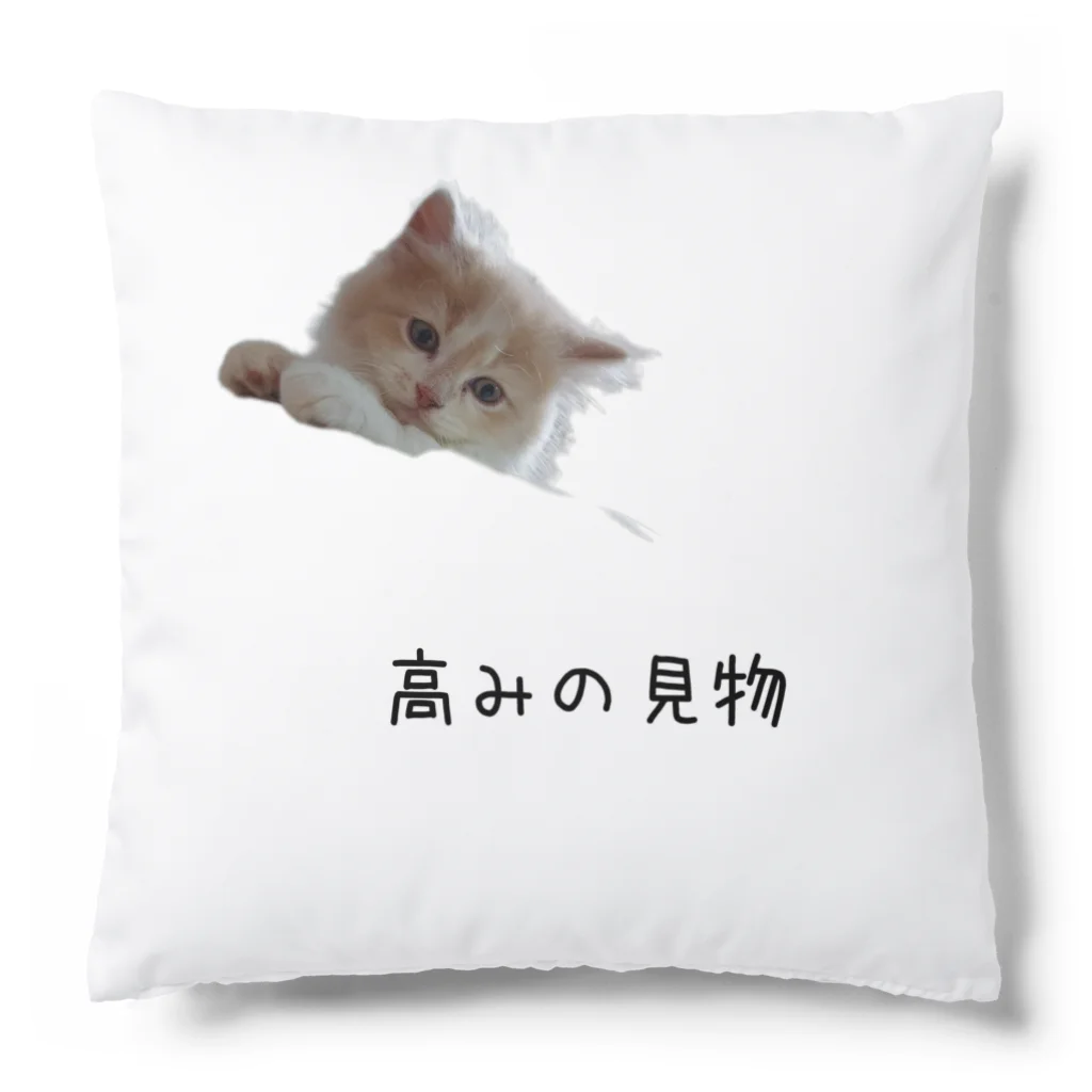 munteaのむぎねこ Cushion