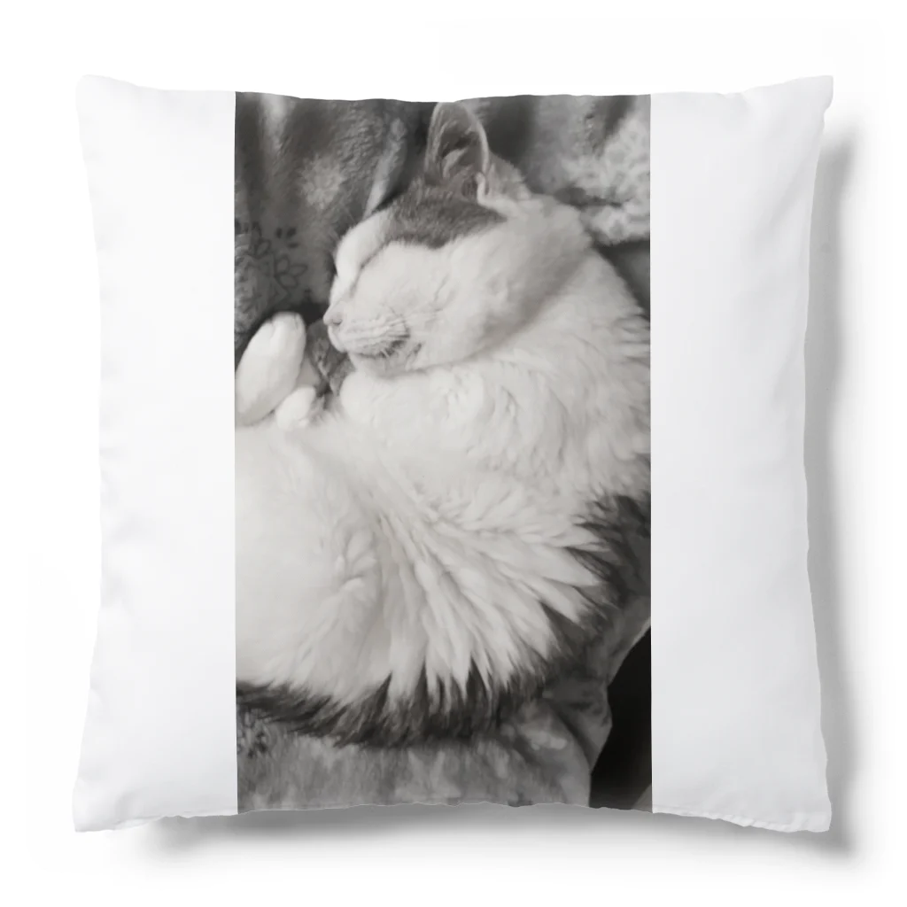 KAZU SHOPの可愛い猫のお昼寝　癒し Cushion