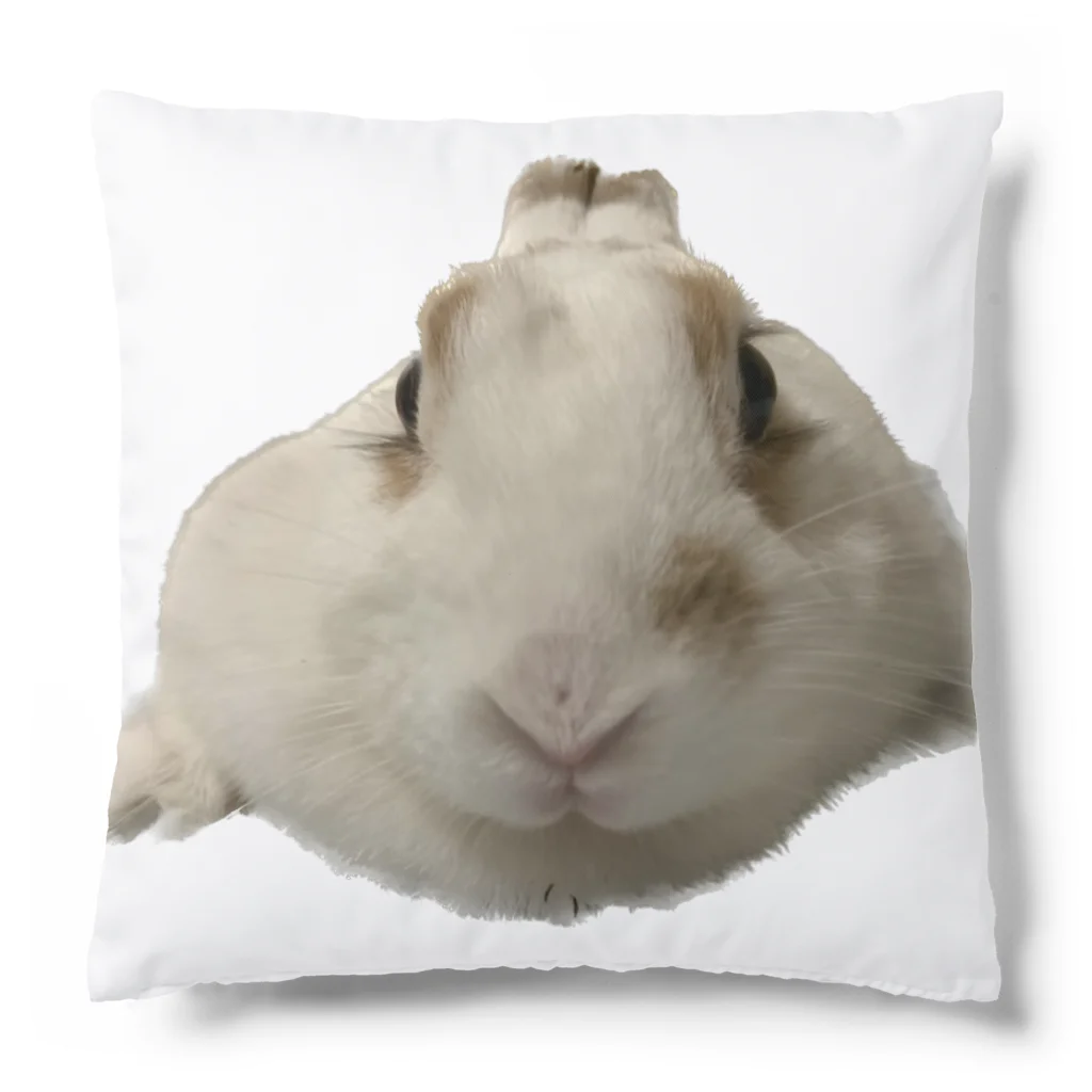 ソヒのショップの白いうさぎが可愛い Cushion