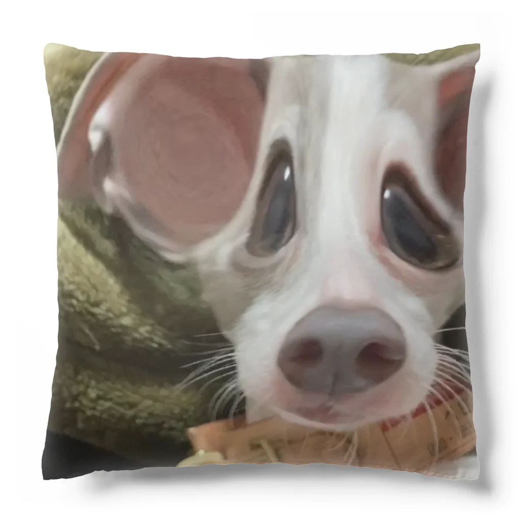 こはちのスピってる犬  Cushion