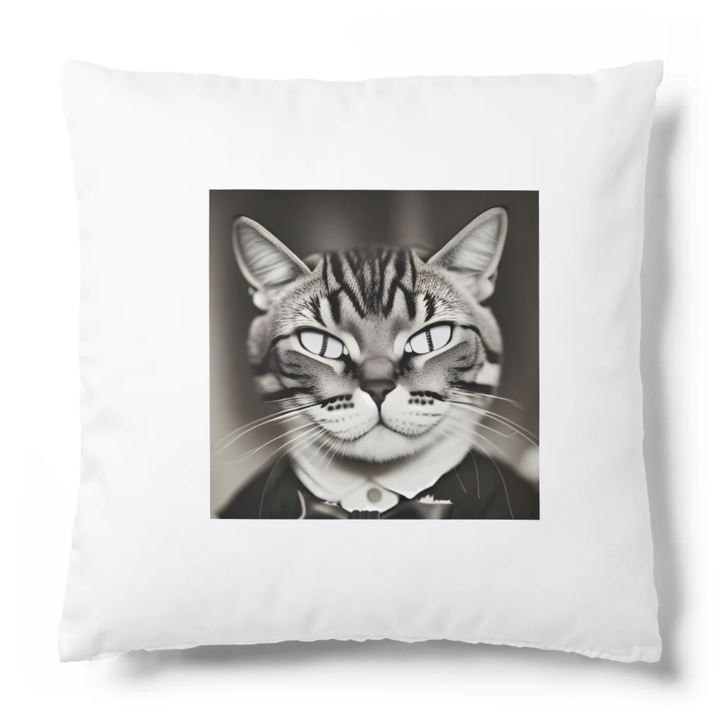 ｋ358のハンサムキャット Cushion