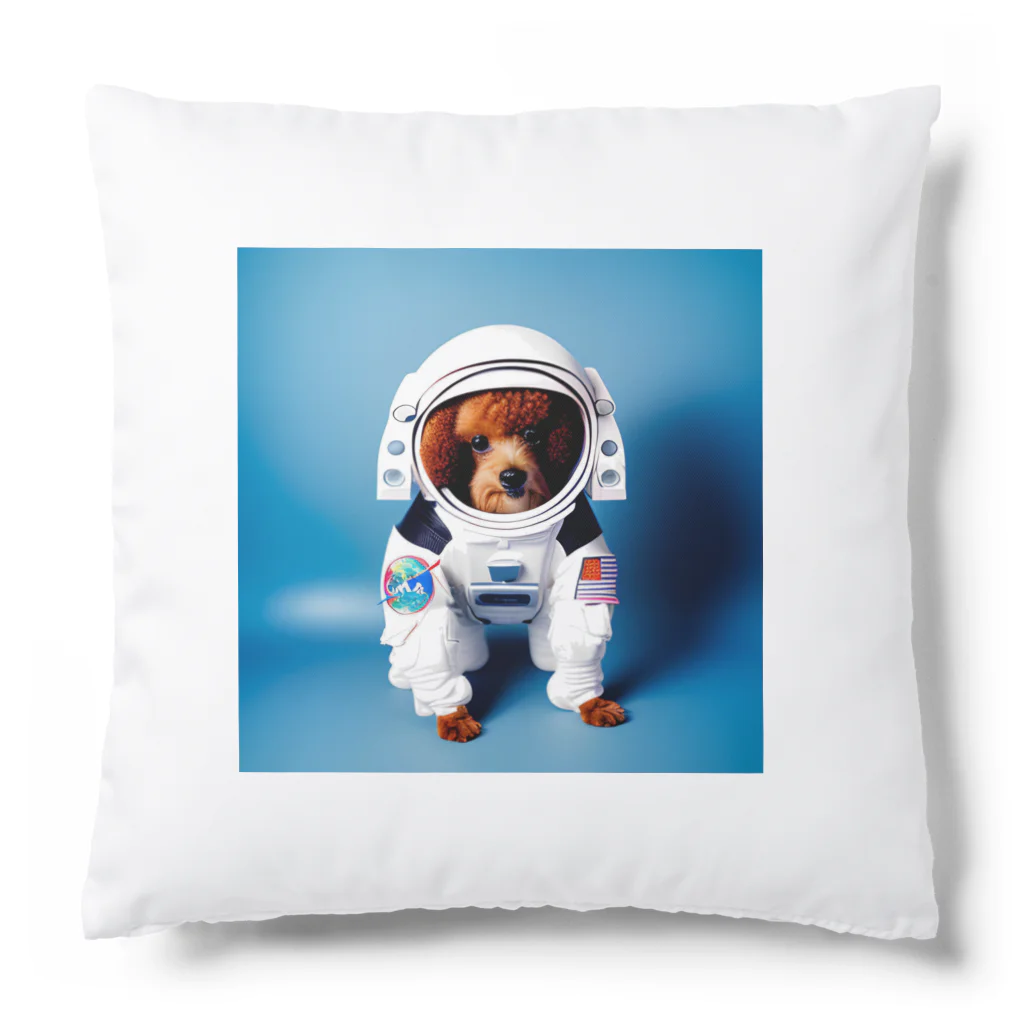 rethelの宇宙に連れてって Cushion