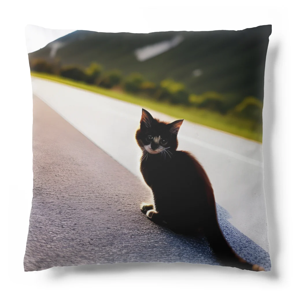 クロネコ宅急便の可愛すぎてたまらない、子猫グッズ Cushion