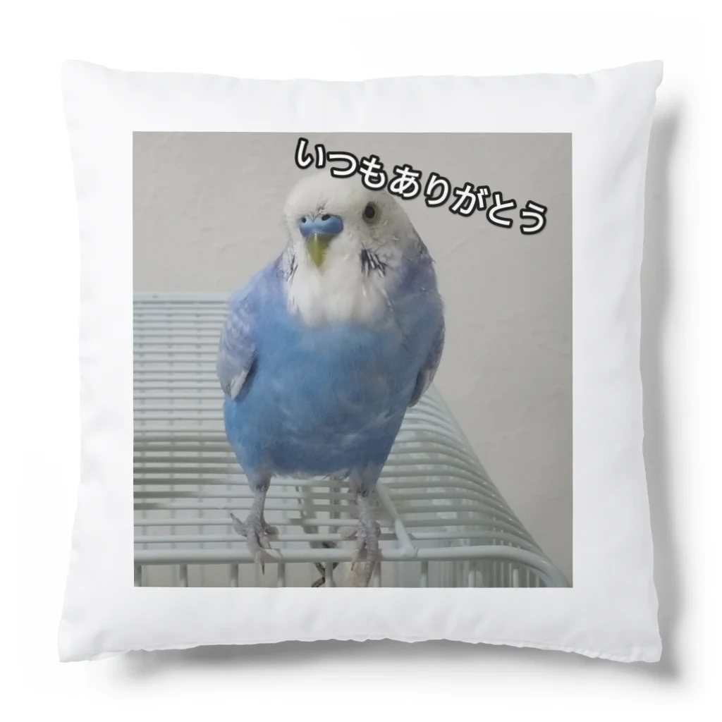 penpancarのぴよ氏（セキセイインコ）　いつもありがとう Cushion