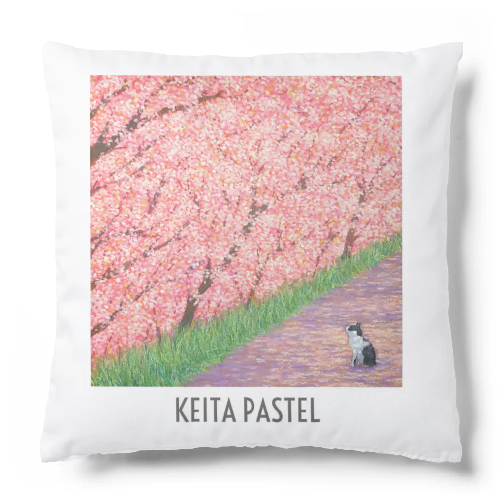 KEITA PASTELのKEITA PASTEL クッション