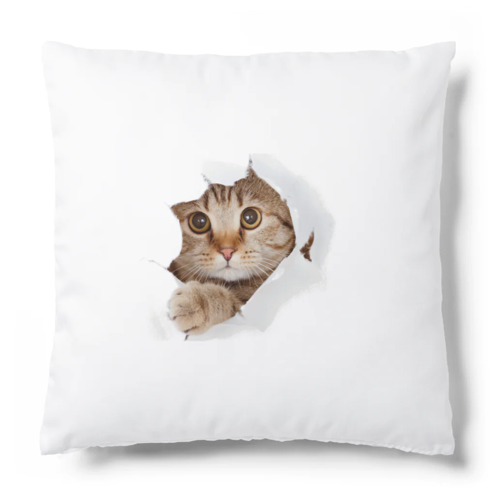 ただの猫好きのWhite Free Cute Funny Cat T-shirt Cushion