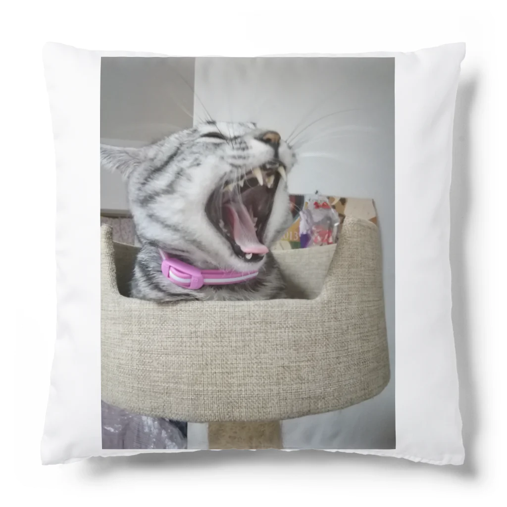 Grayの大怪獣 Cushion