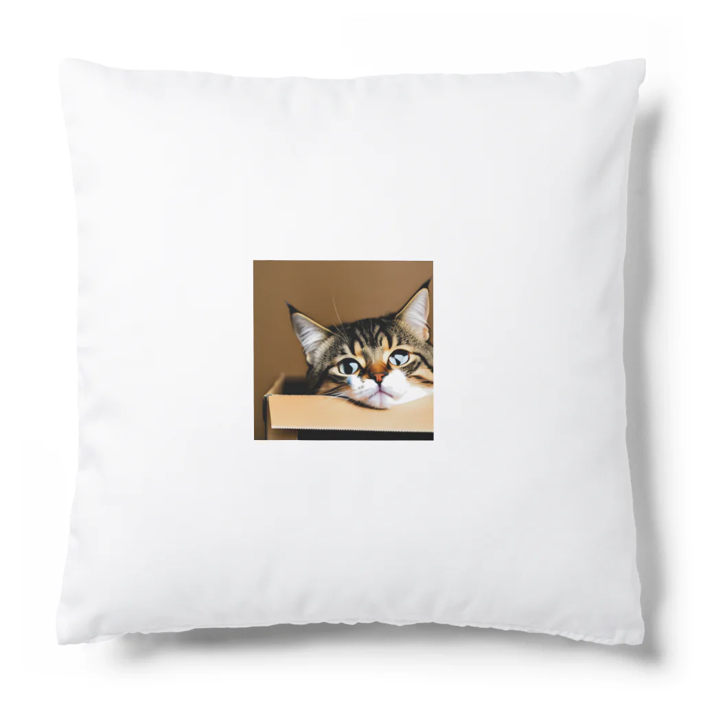 チェリオの箱に入った可愛い猫 Cushion