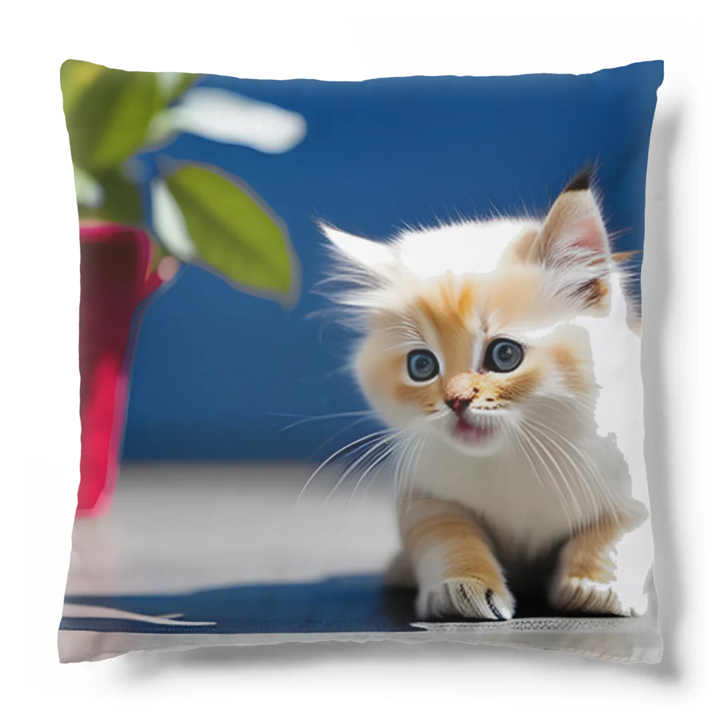 No planの子猫 Cushion