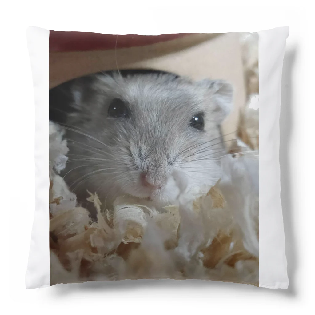 べあちの我が家のハムちゃ Cushion