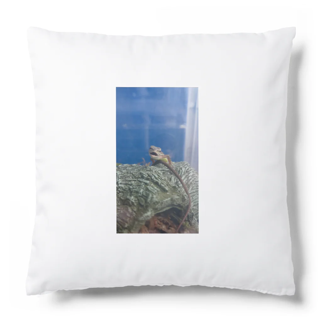 Makoto_Kawano Designの笑うトカゲ Cushion