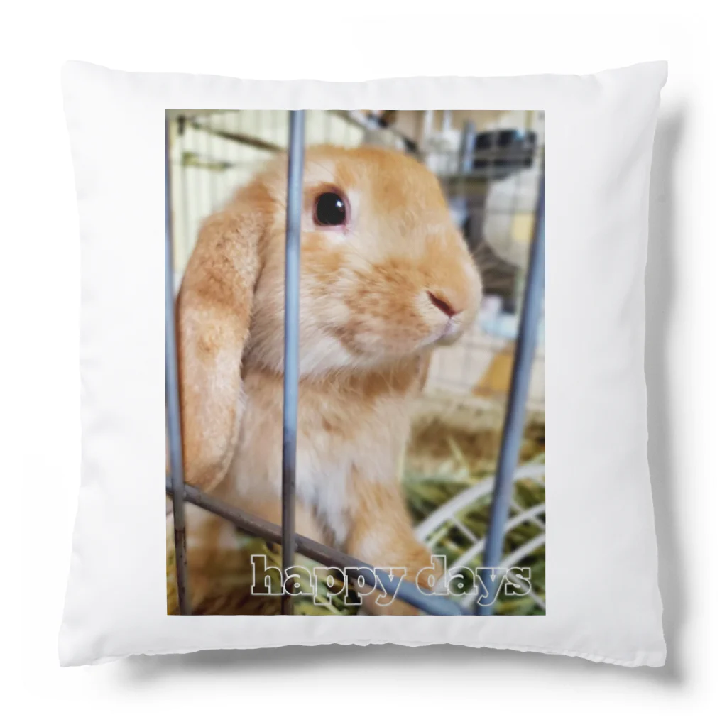 うさぎのハッピーさんのうさぎのハッピーさん　happy days Cushion