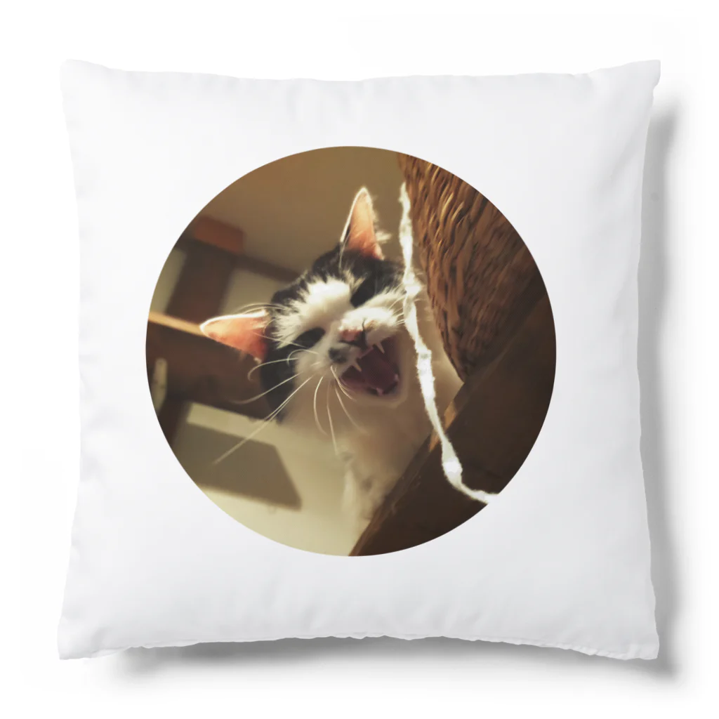 jenjenの強面のねこ　チビゴン　その1 Cushion