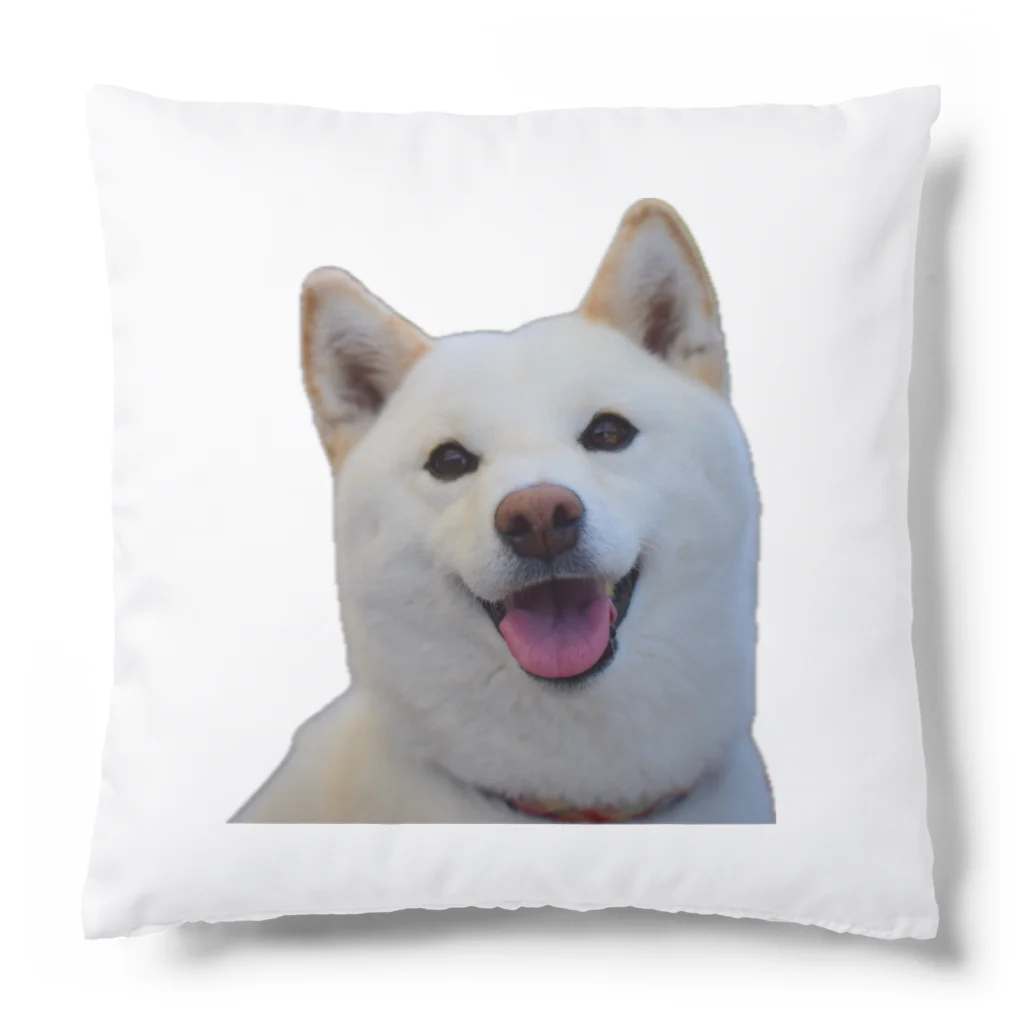 Higerapperの愛犬らんらん Cushion