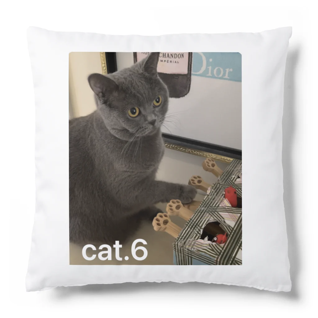 cat.6のイブ姉さん Cushion