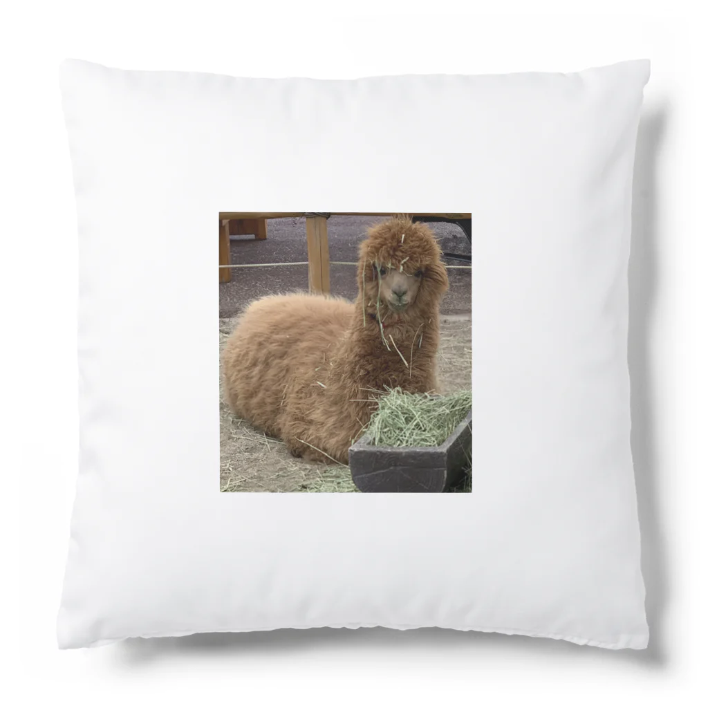 玉手箱のアルパカランチ Cushion