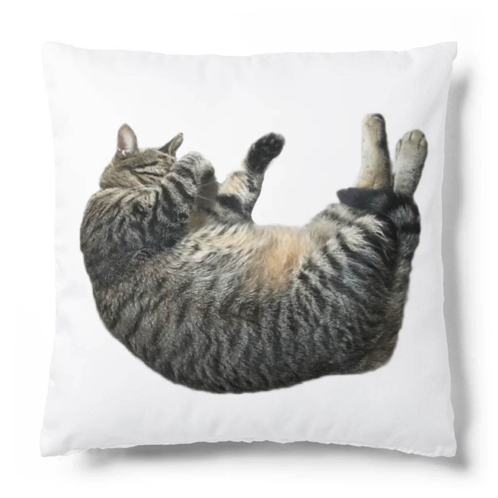 あんなちゅらるのこんなところに猫が落ちてる Cushion