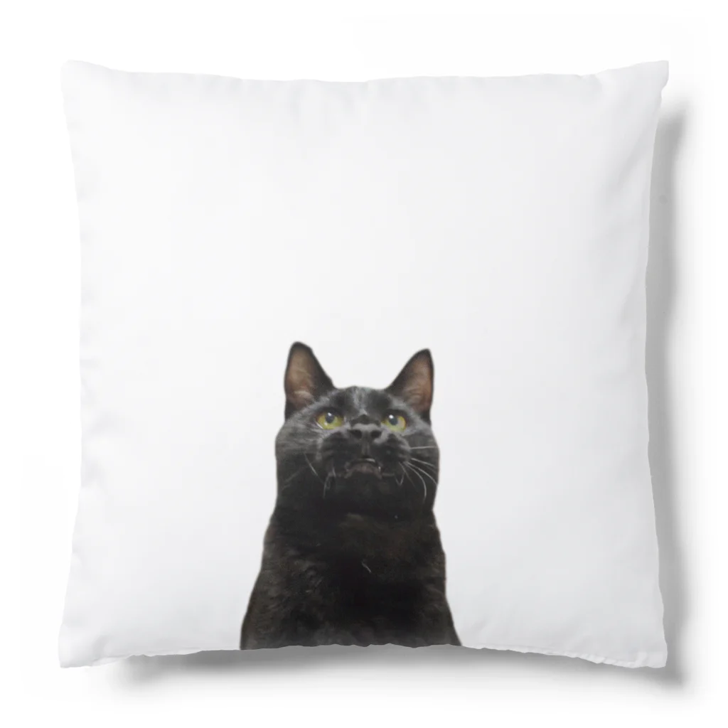 ８９６の黒猫 Cushion