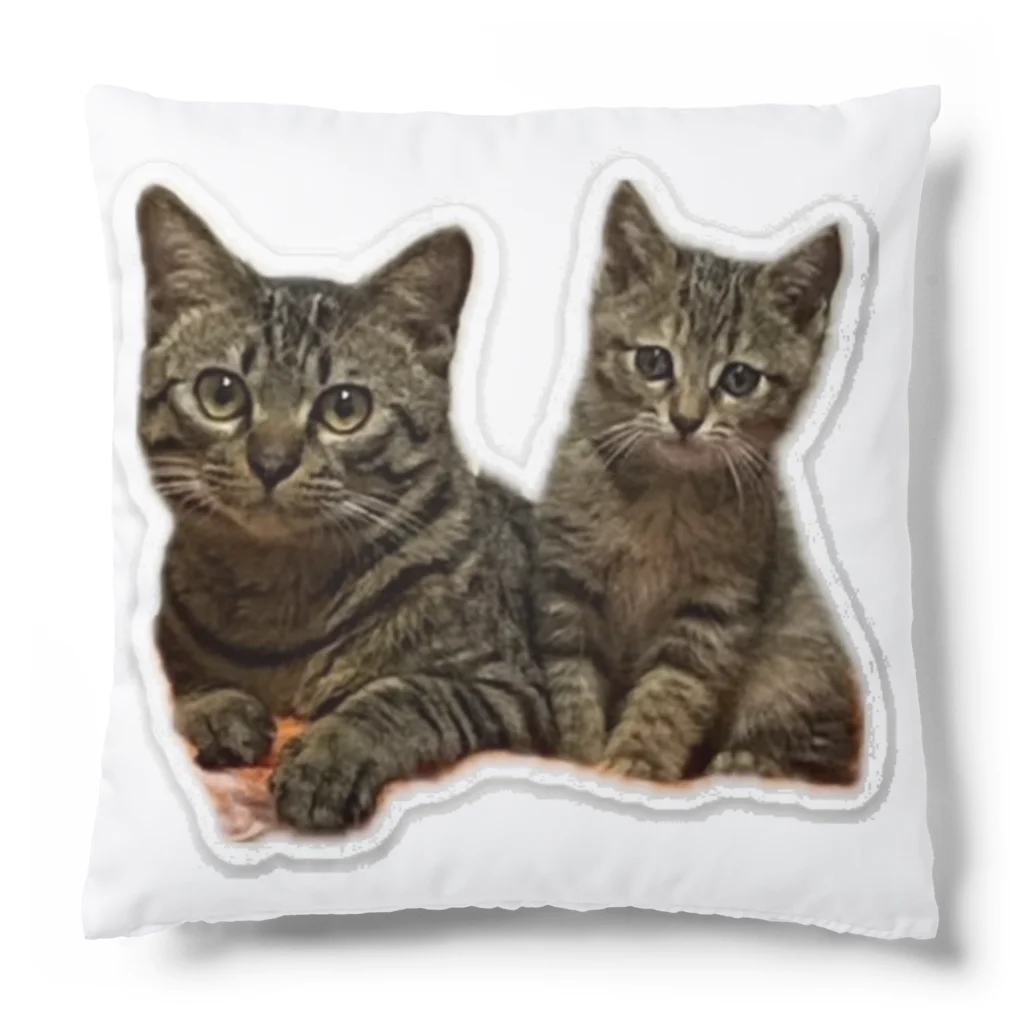 R&B.STUDIO WEBSHOPのキャッッット Cushion