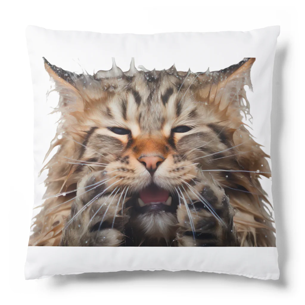 日向ぼっこのずぶ濡れ猫 Cushion