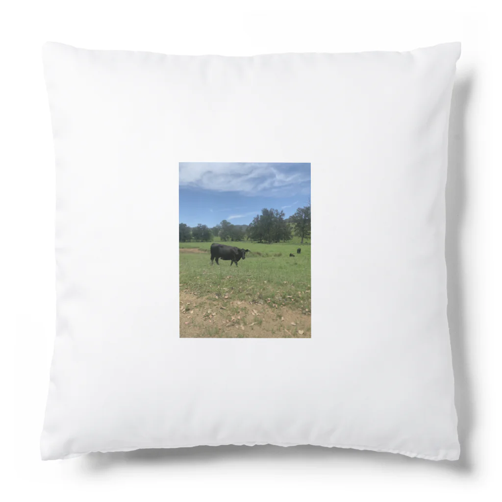 YASUE ABE JPのFarm Cushion