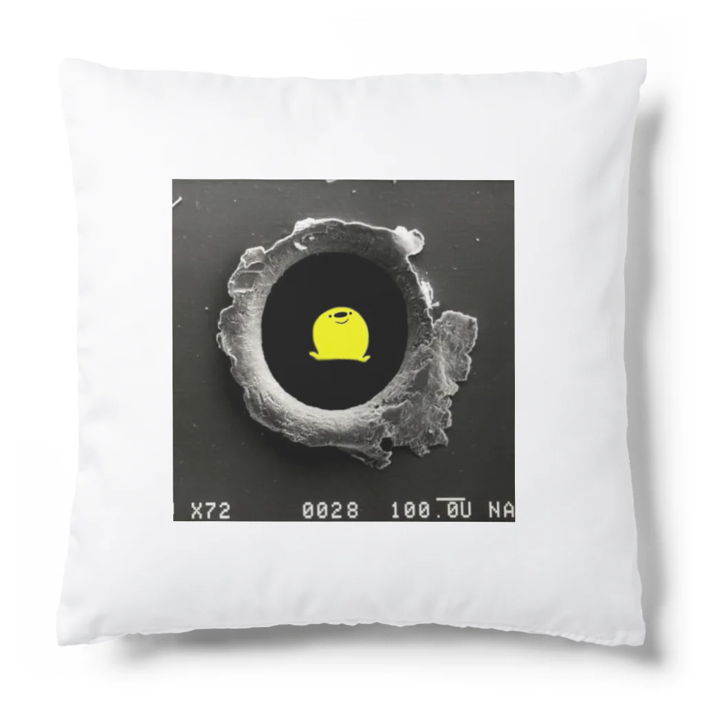 羽田ベースの弾痕deぽんぢ君 Cushion