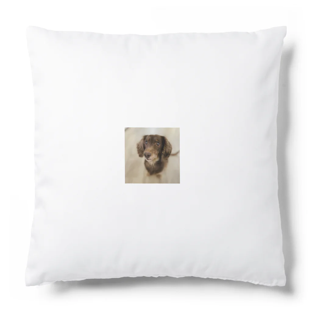 マリアの愛犬マリア Cushion