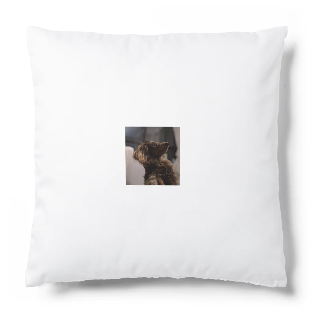 マリアの愛犬マリア かわいい Cushion