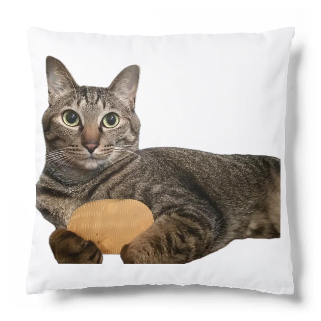 オレはニャン蔵の『猫に小判』オレはニャン蔵 Cushion