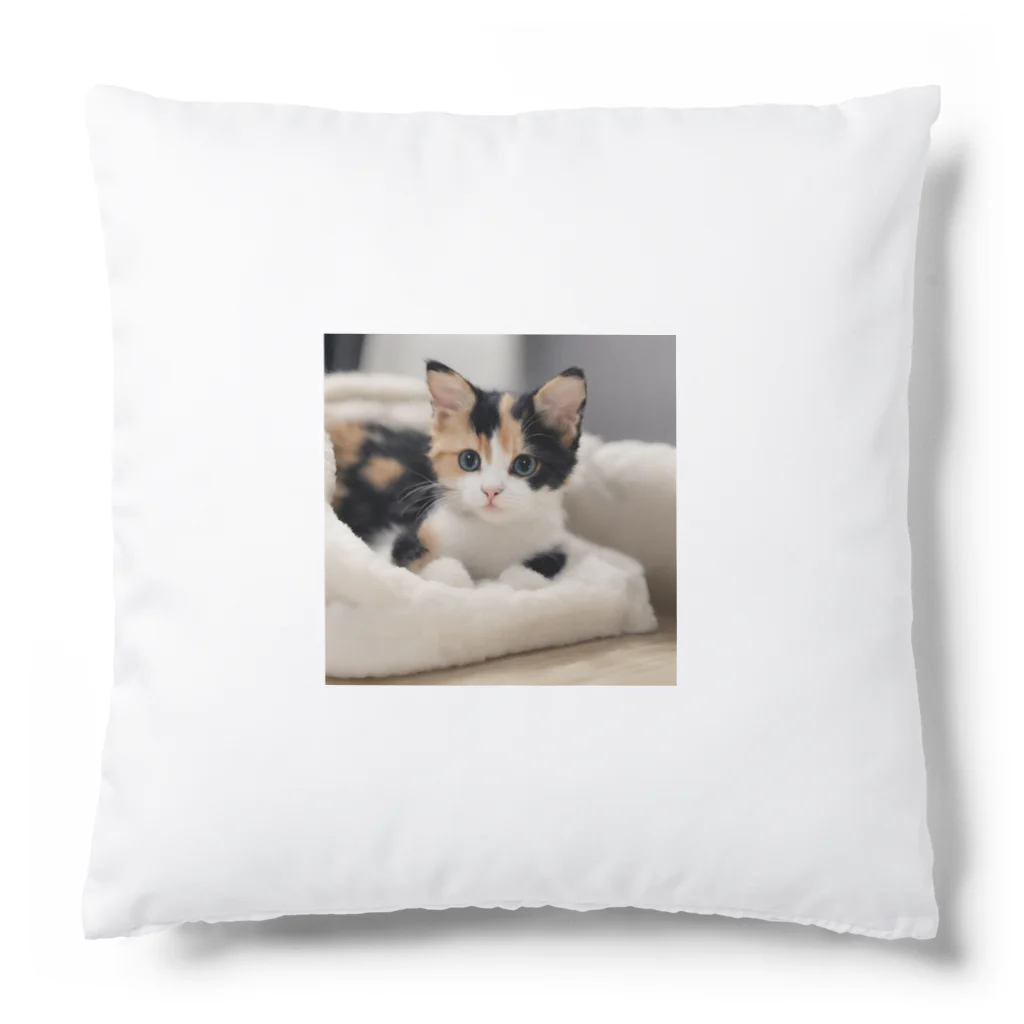 癒しリフレッシュの愛らしい子猫ちゃん Cushion