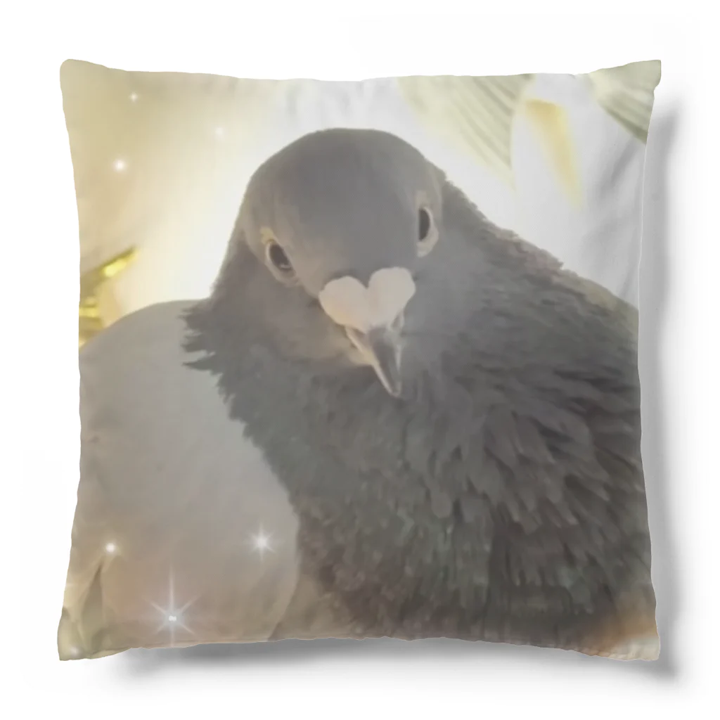カラスのクッピの土鳩のポッピ Cushion
