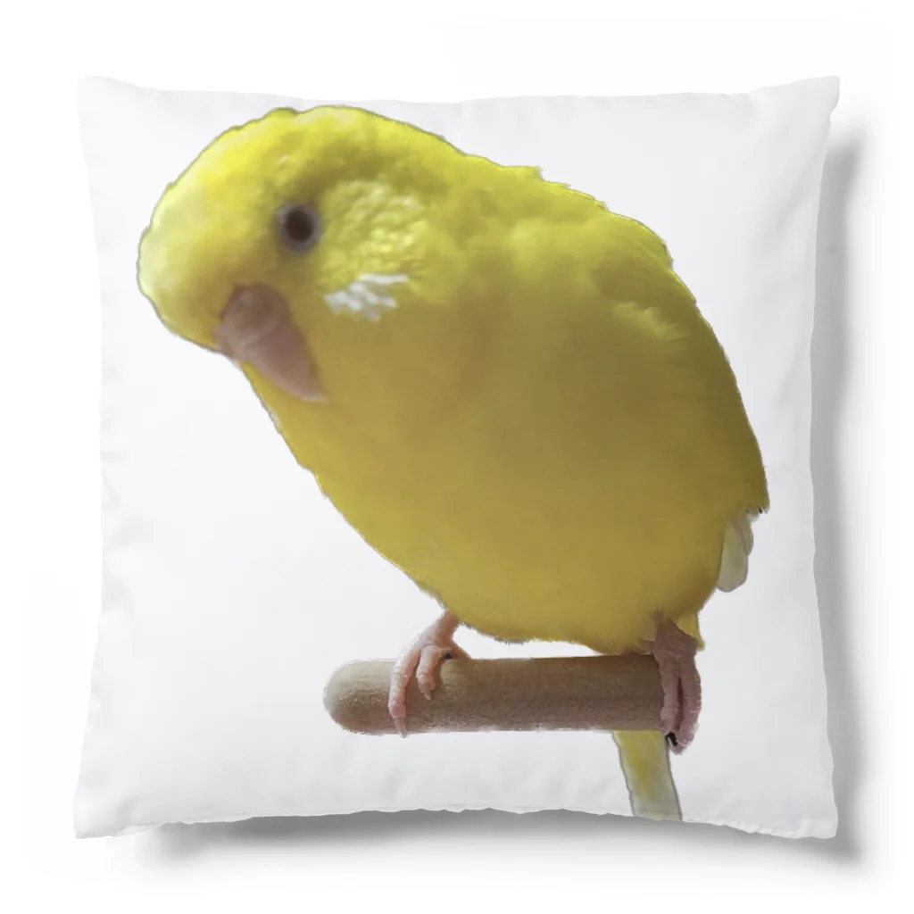 アヒル屋のやんきゅうちゃん Cushion