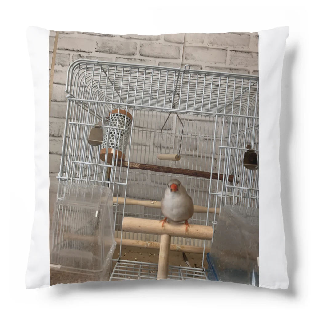 小鳥屋の錦華鳥の華ちゃんグッズ Cushion