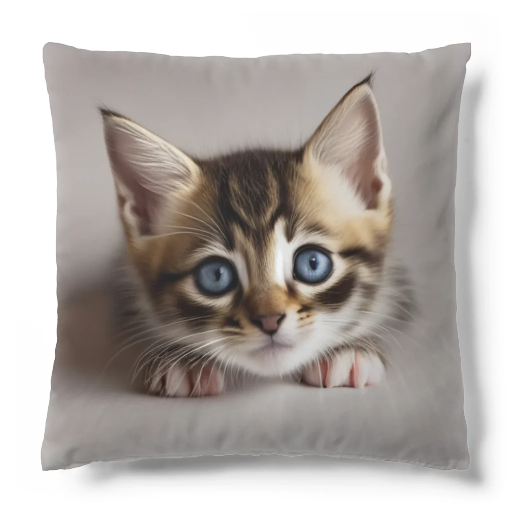 ks-staffの😺癒し猫シリーズ💖 Cushion