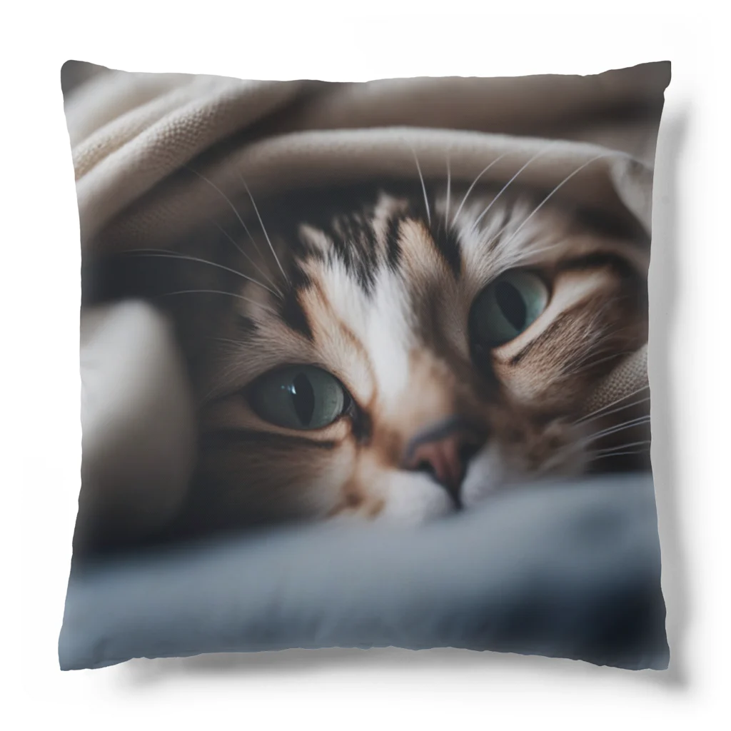 feliceの毛布の下に隠れている猫 クッション