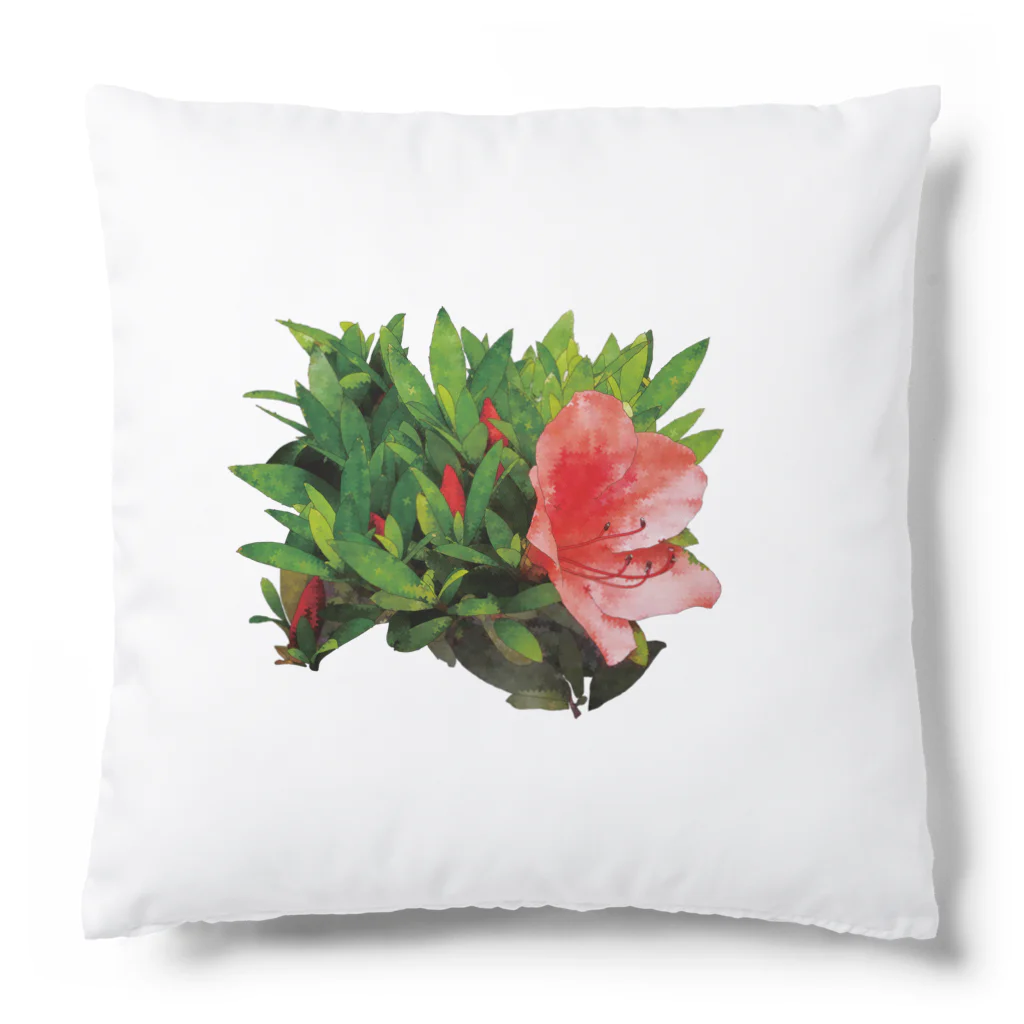 植物の絵師「洋子」の店のビビッドな「サツキ」の花 Cushion