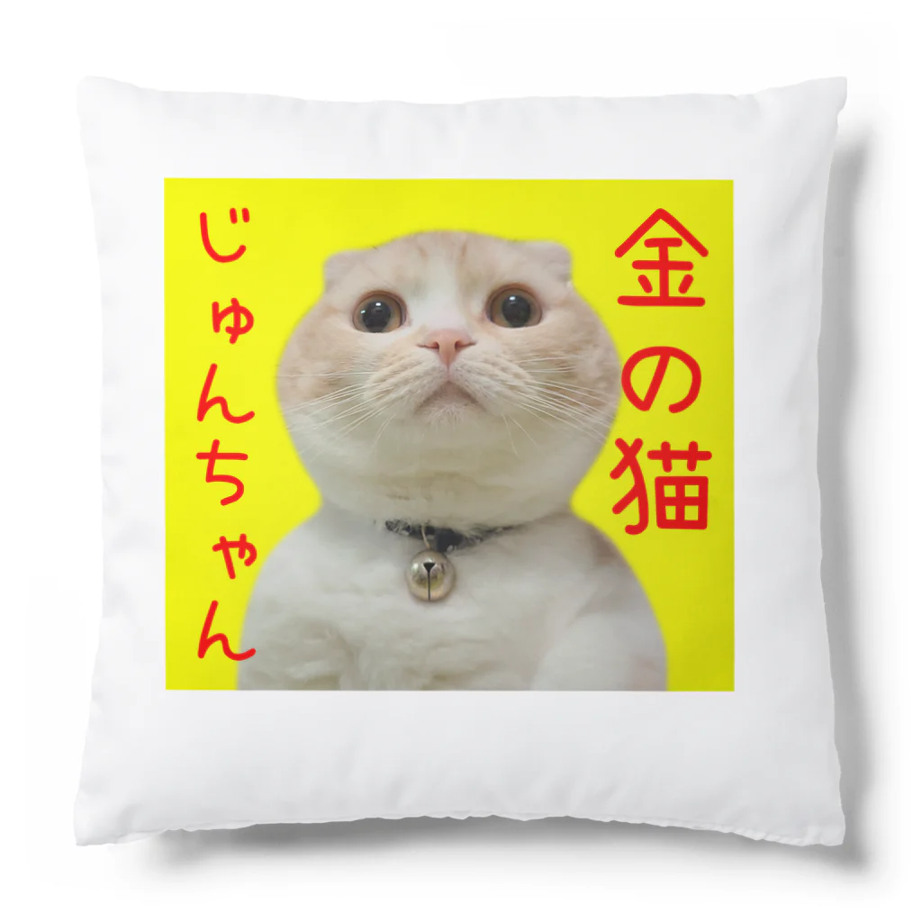 犬と猫の親バカ日記【公式グッズ】のクッション じゅんちゃん Cushion