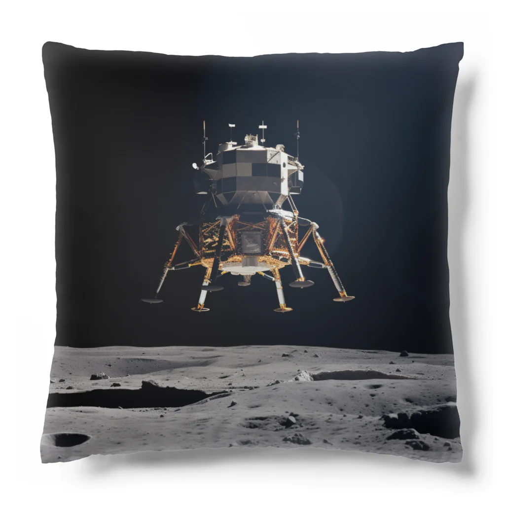 AQUAMETAVERSEの衛星　なでしこ1478 Cushion